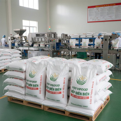 bao gạo nếp hương điện biên giá sỉ