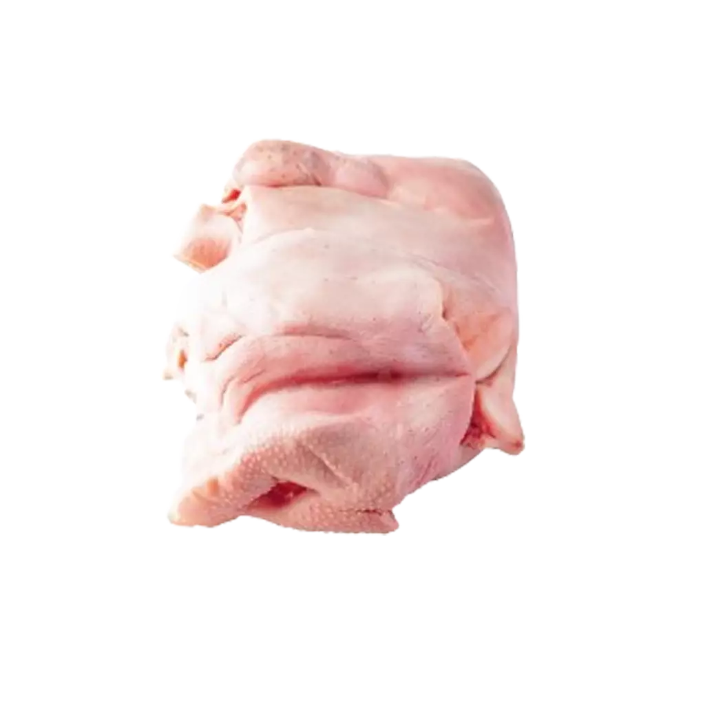 Mũi heo Miratorg