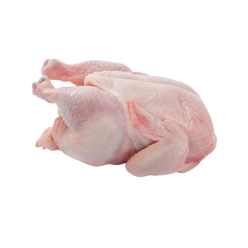 Gà Dai Hàn Quốc Singgreen