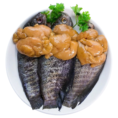 Cá sặc trứng 1 nắng Size 8 - 10 con/kg