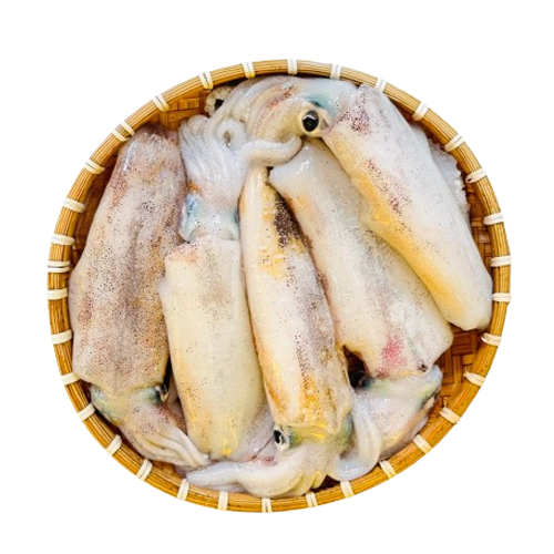 Mực lá câu tươi ngon Size 1 - 1,2 kg/con