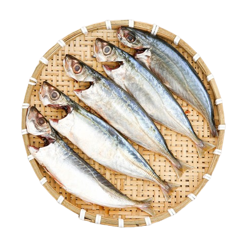 Cá nục làm sạch Size 4-6 con/kg