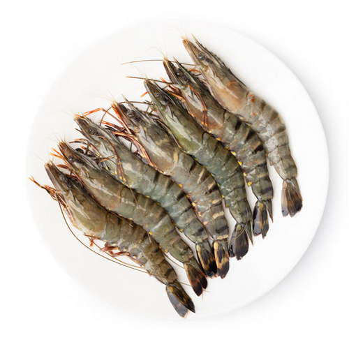 Tôm sú tươi sống Size 60-70 con/kg