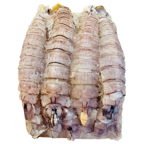 Tôm Tít Gạch Size 70–90 Con