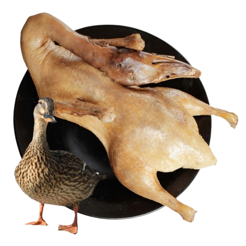 Vịt trời làm sạch