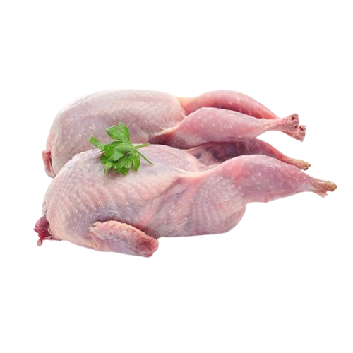 Chim Cút Thịt Làm Sạch