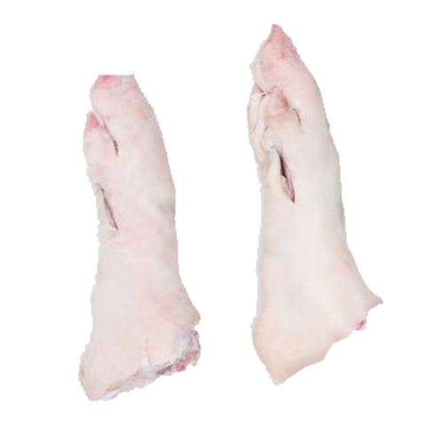 Dựng heo sau Animex