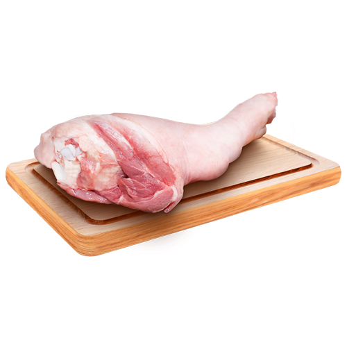 Chân giò trước nguyên cái Be. Campbell (Úc)