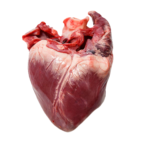 Tim heo Diamond Valley