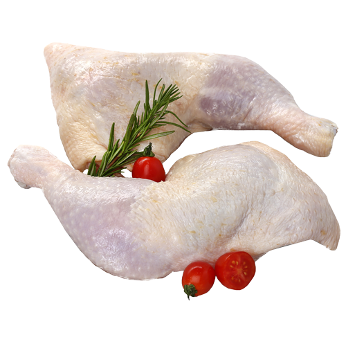 Đùi Gà Mái Singgreen