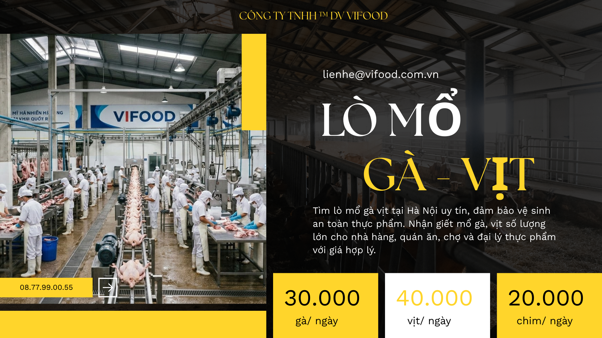 Lò mổ gà vịt tại Hà Nội