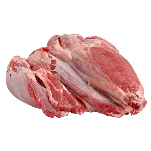 Bắp Hoa Trâu Rustam 60B