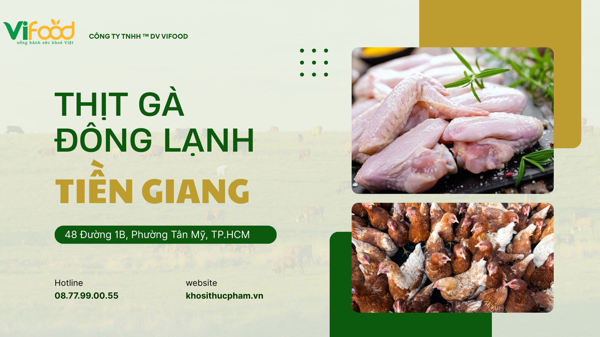Địa Chỉ Cung Cấp Thịt Gà Đông Lạnh Tại Tiền Giang Uy Tín