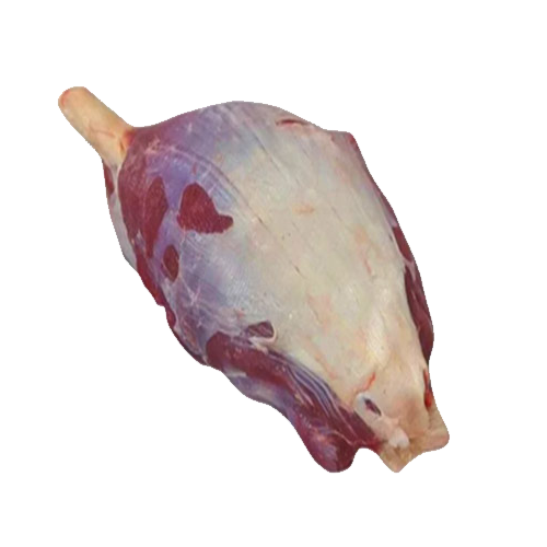 Bắp Rùa Trâu 60B TOOBA