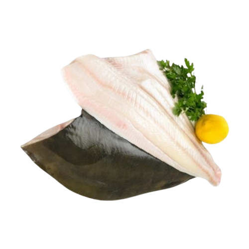 Cá Bơn File Đông Lạnh