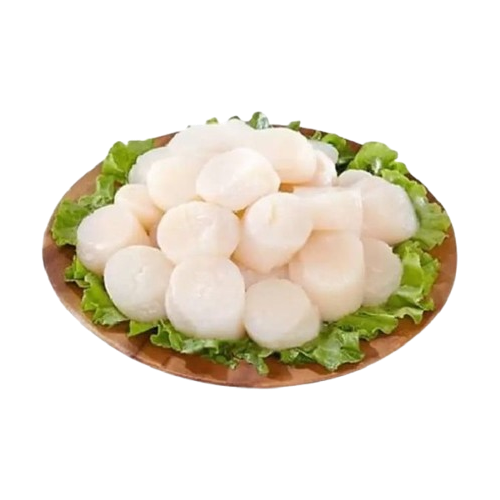 Cồi Sò Điệp 20–25c