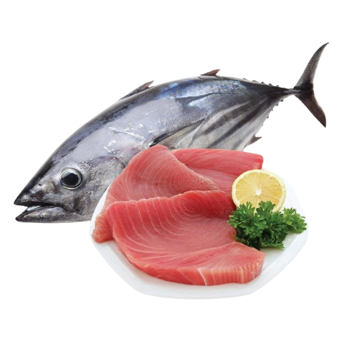 Cá Ngừ Bò Đông Lạnh Size 300–500g