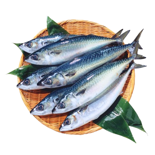 Cá Sapa Đông Lạnh Size 300–500g