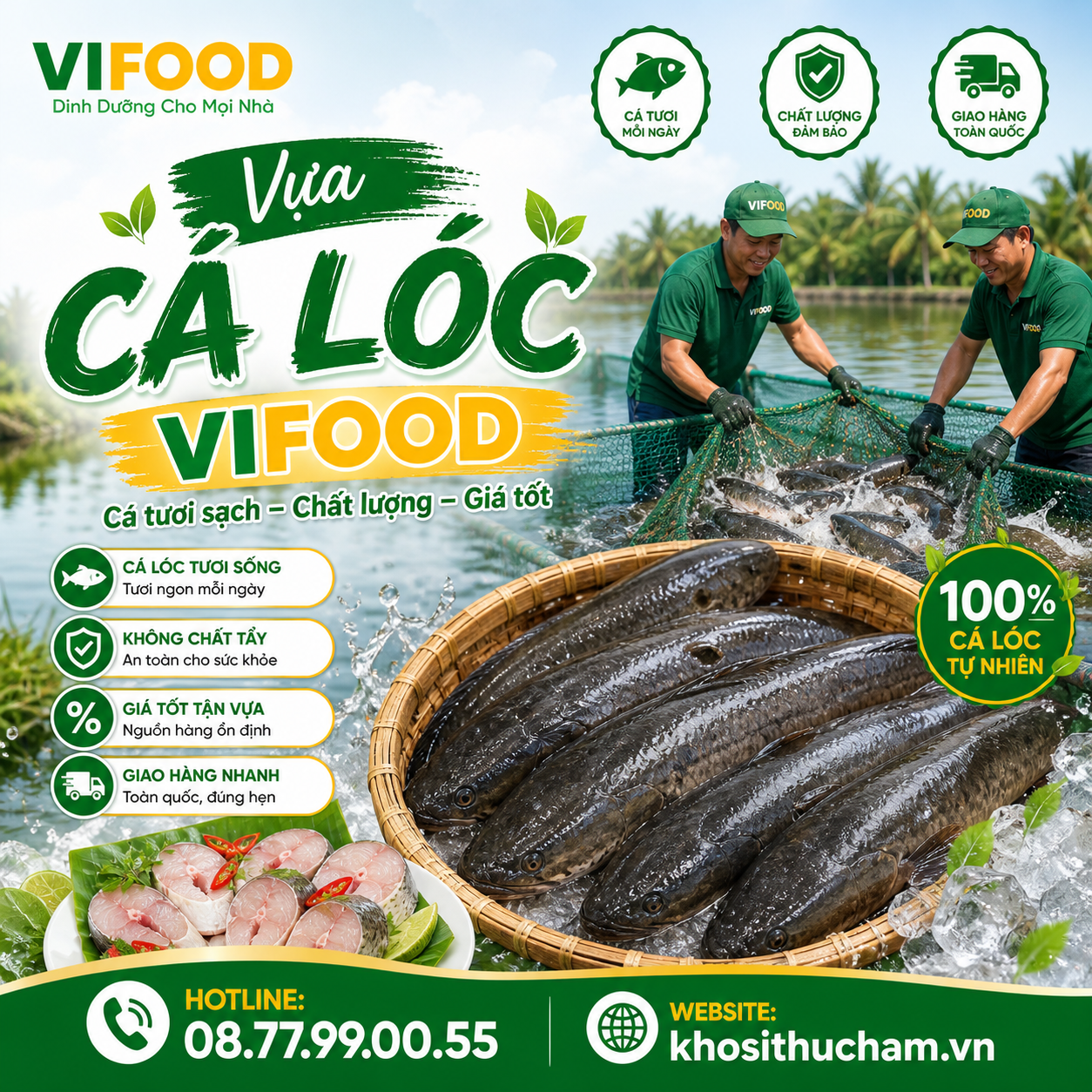 Địa Chỉ Bán Cá Lóc Giá Sỉ