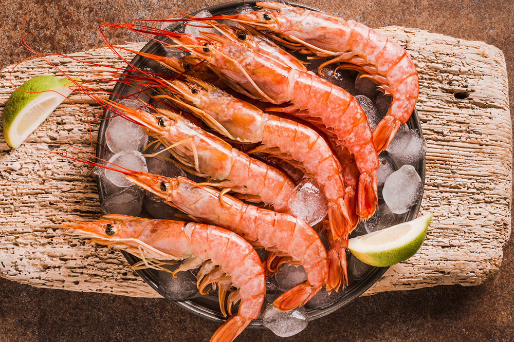 món ăn từ tôm sú sống