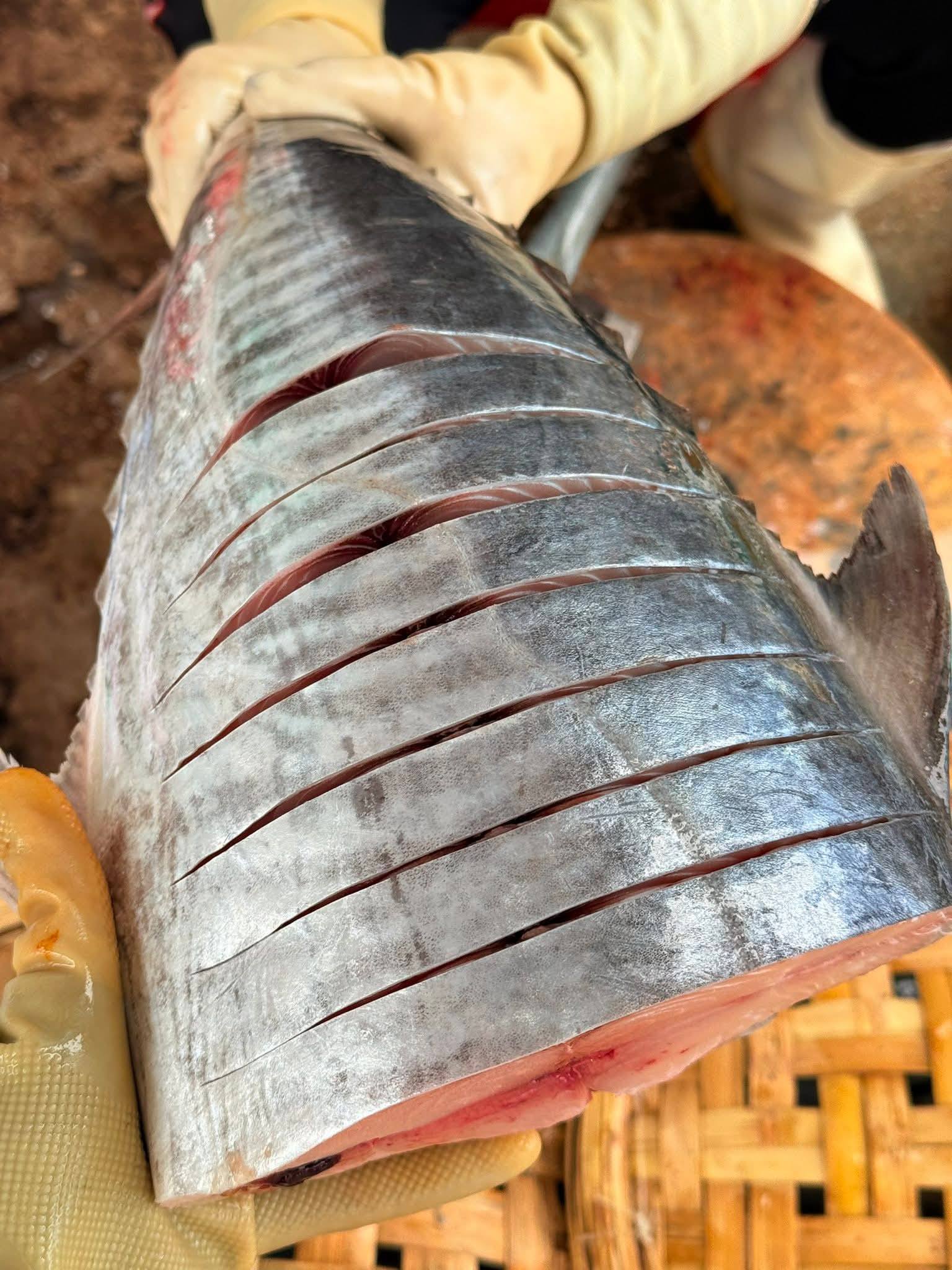 cá thu tươi cắt khoanh giá sỉ