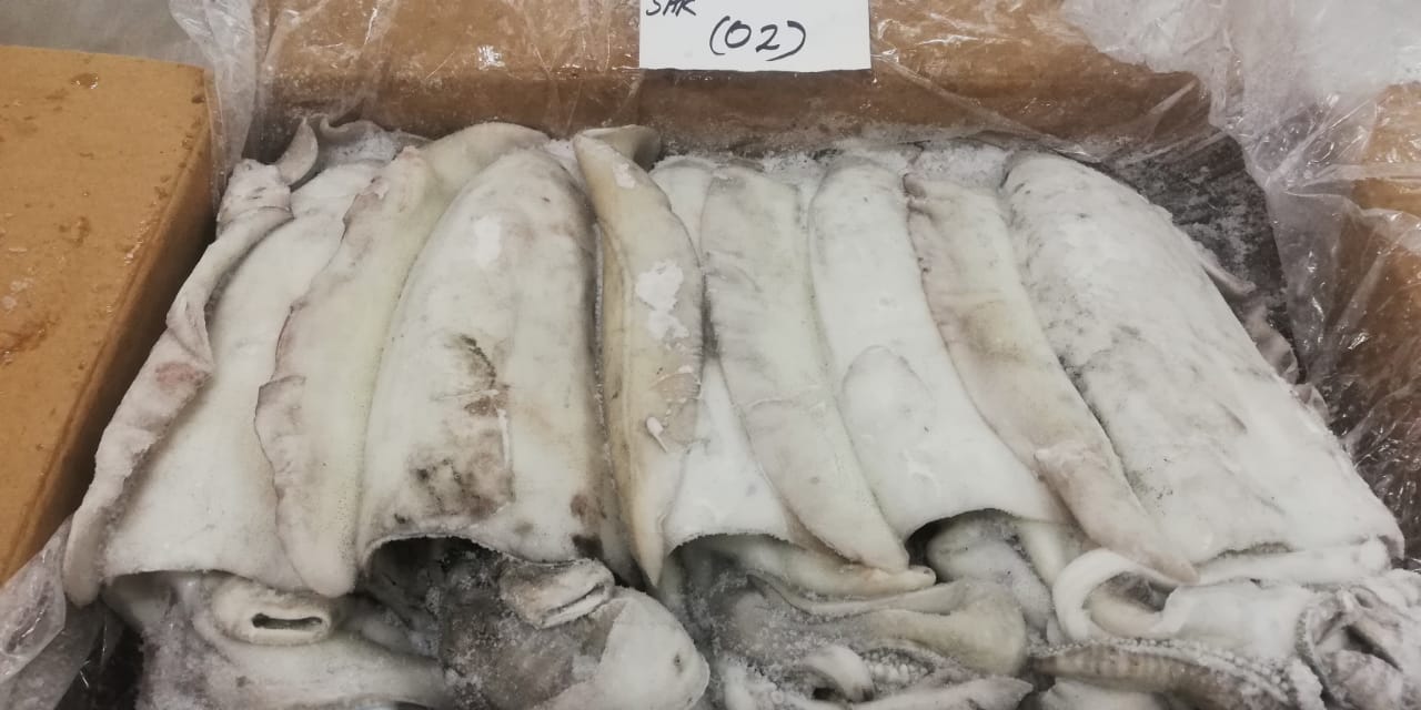 mực nang đông lạnh còn da size 0,6-0,8 kg/con