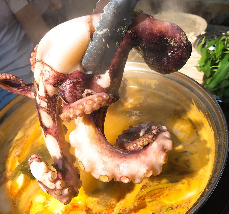 bạch tuộc nhúng lẩu