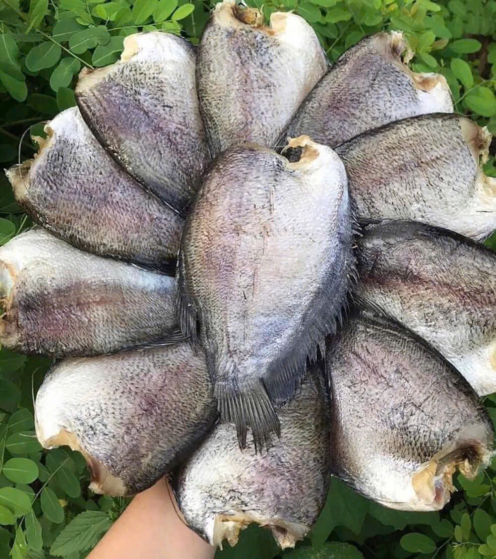 cá sặc trứng 1 nắng thượng hạng size 8-10 con/kg