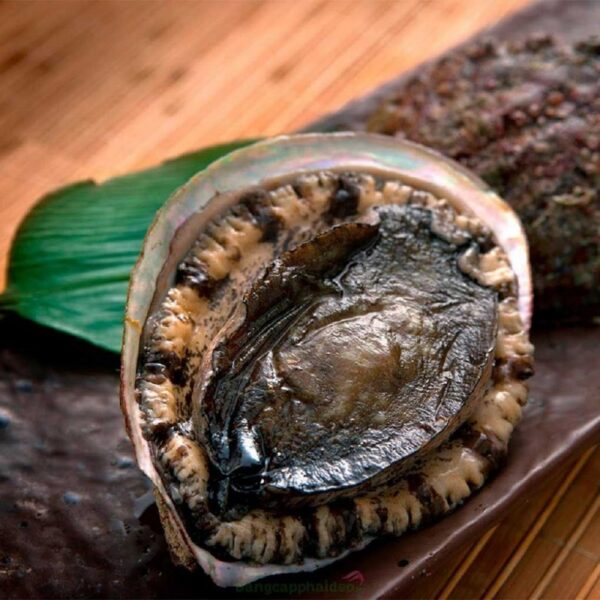 bào ngư Úc viền đen tách vỏ đông lạnh