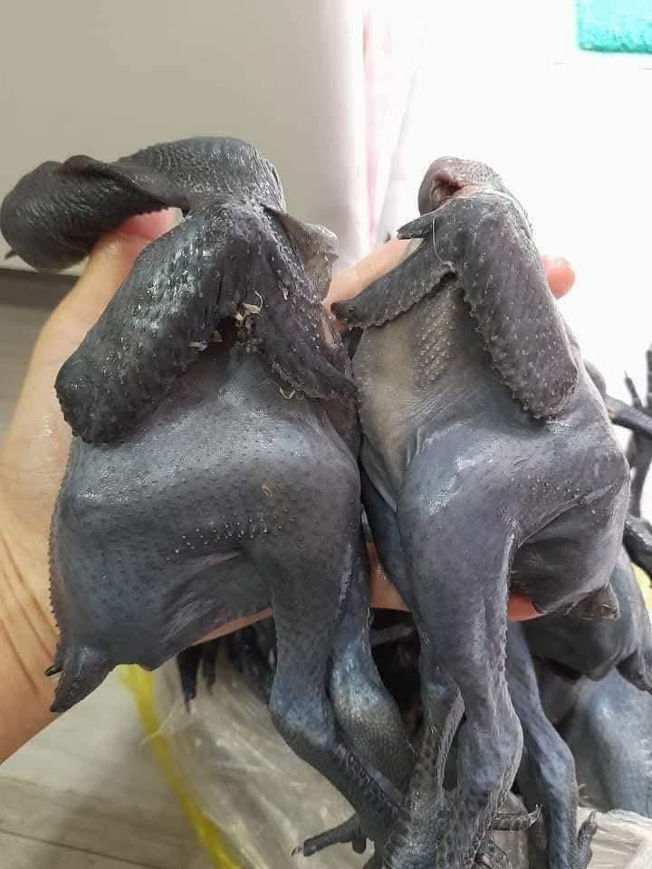 gà ác làm sạch 160g 180g tại VIFOOD