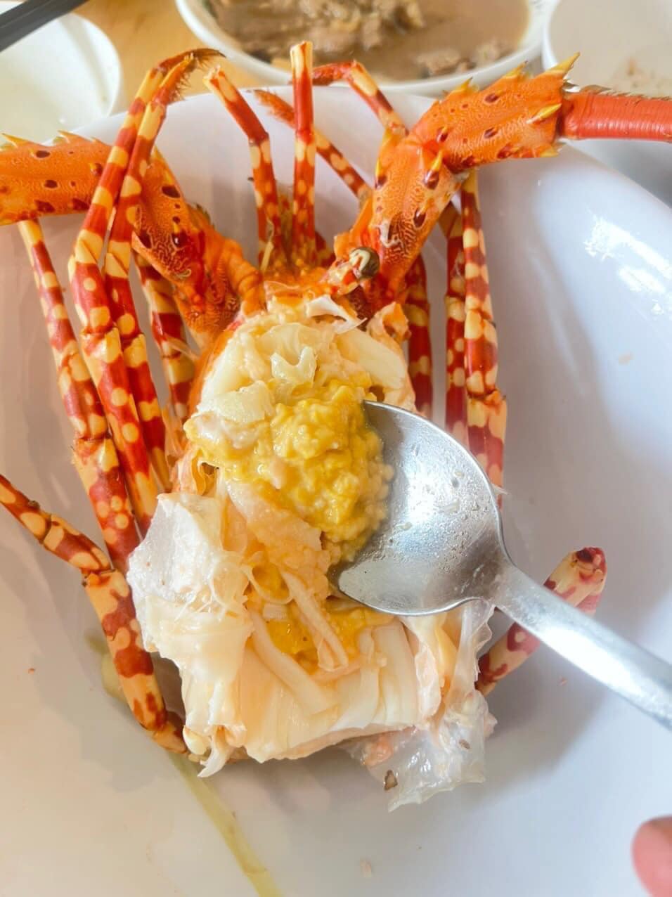 món ăn cao cấp từ tôm hùm tây úc