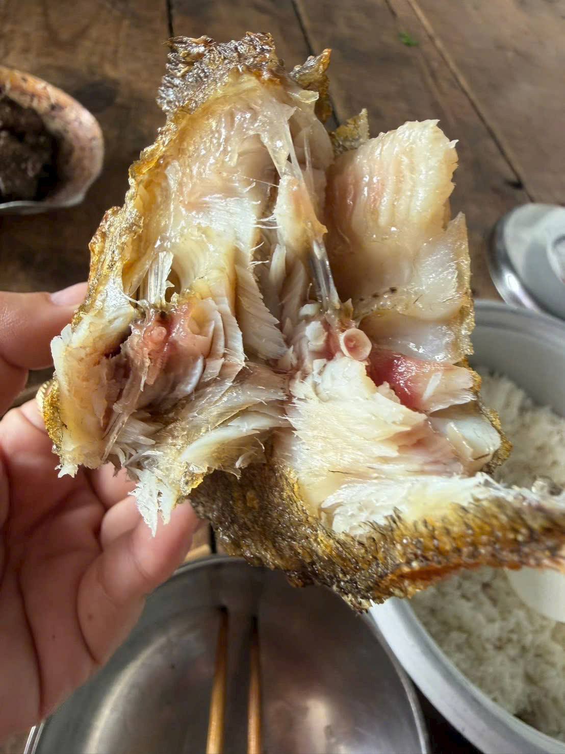 món ngon từ khô cá sặc đặc sản miền tây