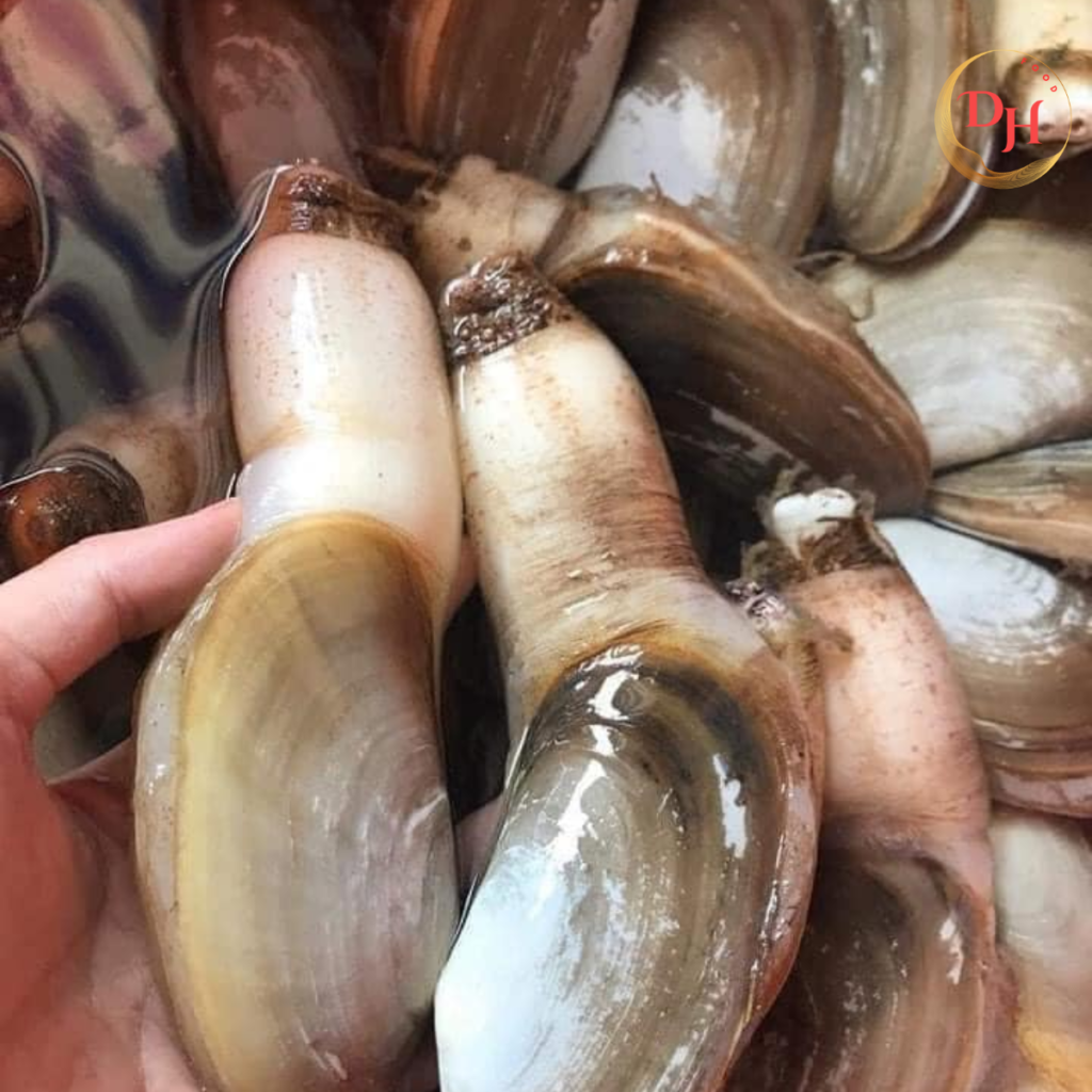 tu hài thiên nhiên giao sỉ vifood