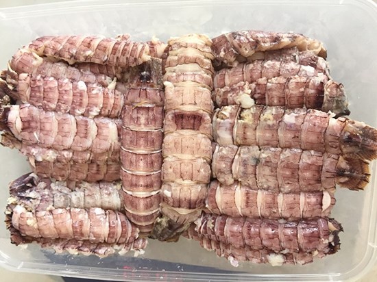 tôm tít gạch nhiều gạch thịt ngọt