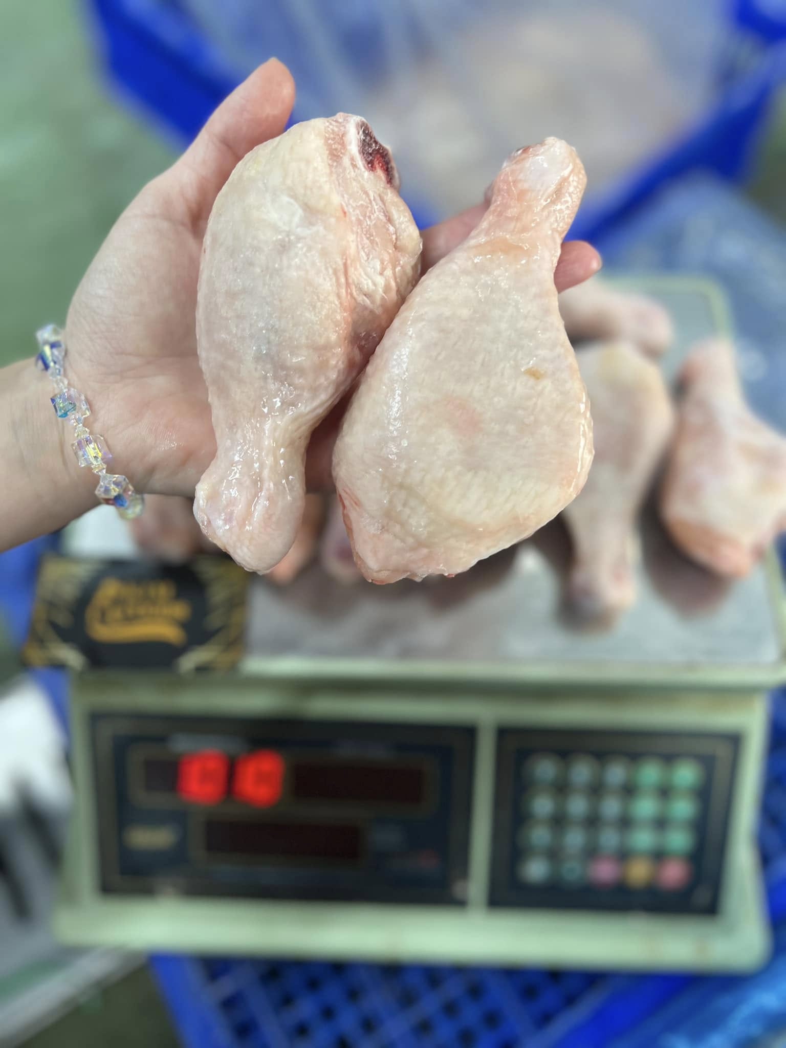 đùi tỏi gà tươi sống size 8-10 cái kg