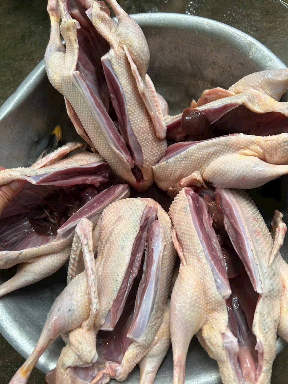 vịt trời sơ chế sạch