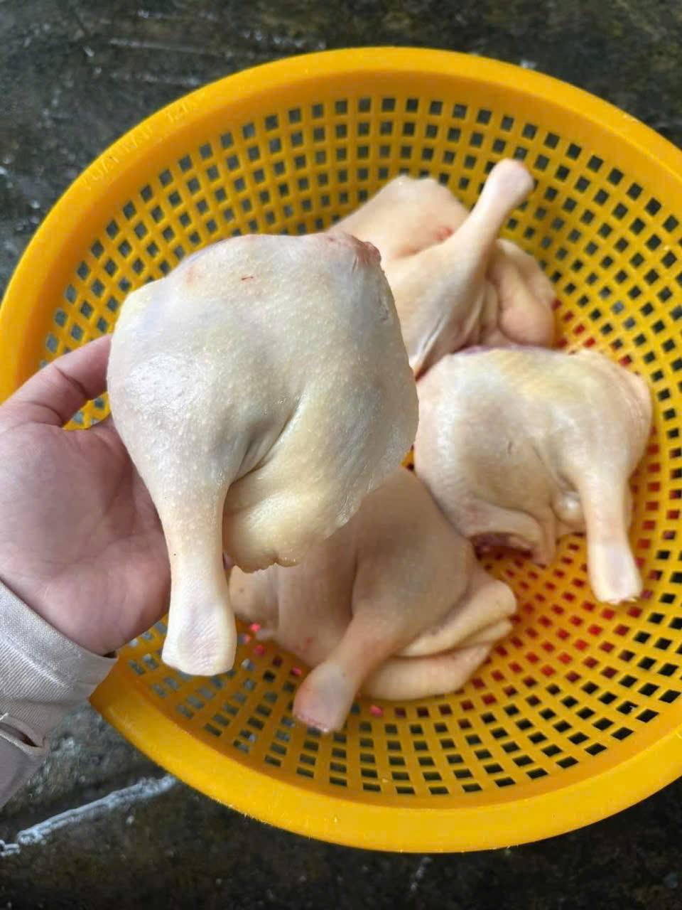 đùi vịt góc tư thịt dày