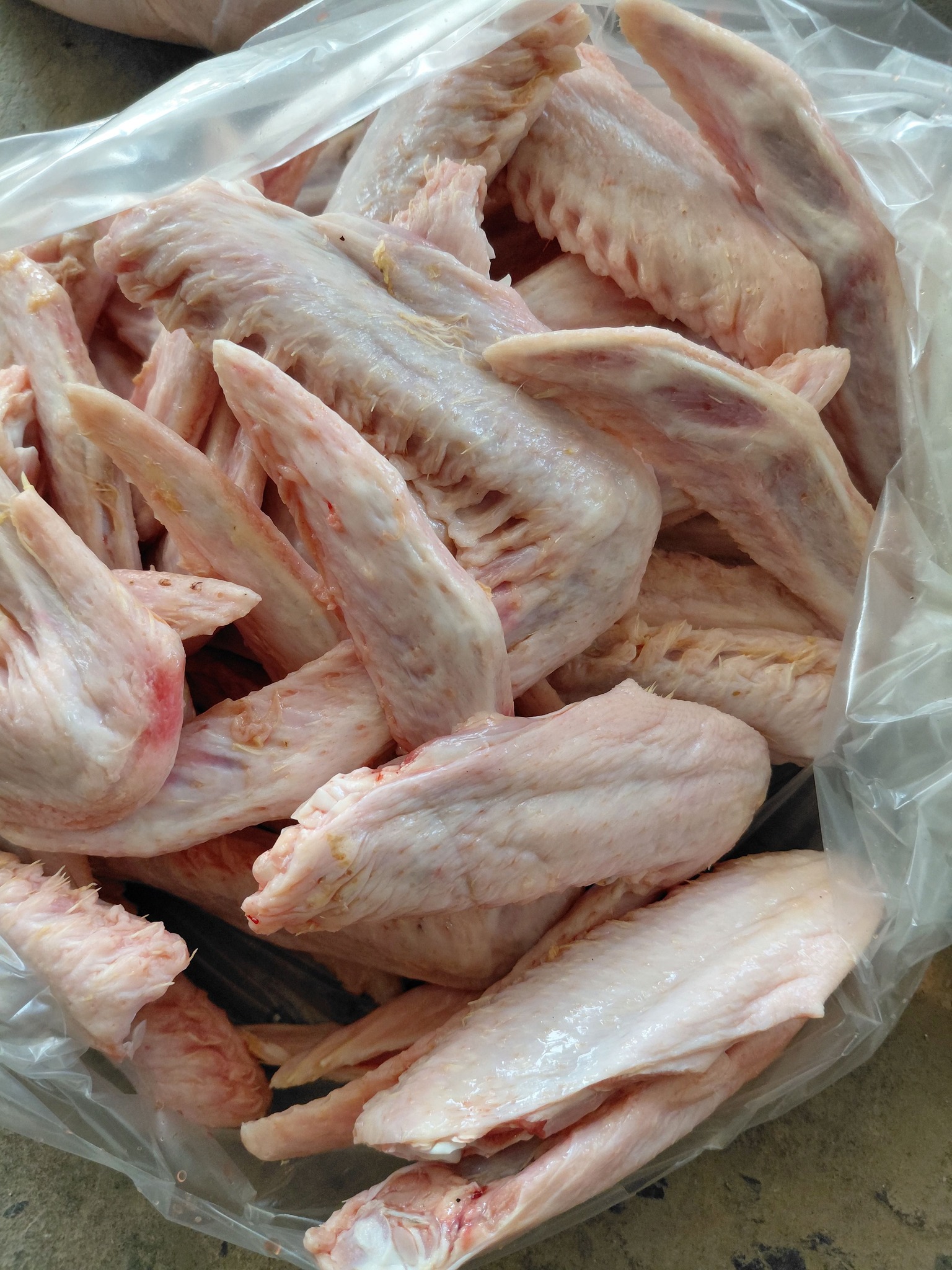 cánh vịt giao sỉ vifood