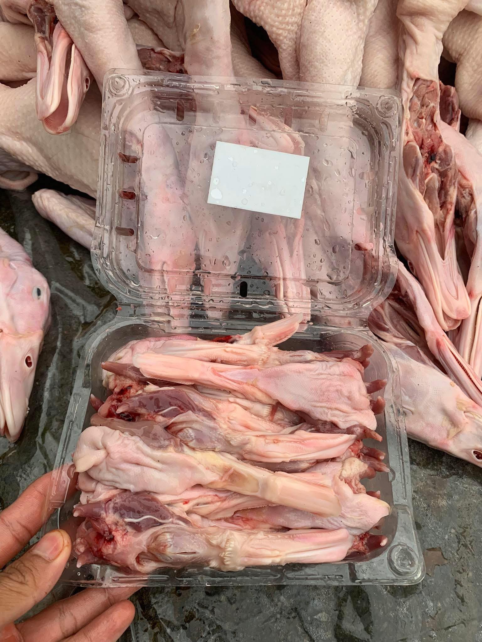 lưỡi vịt giao sỉ vifood