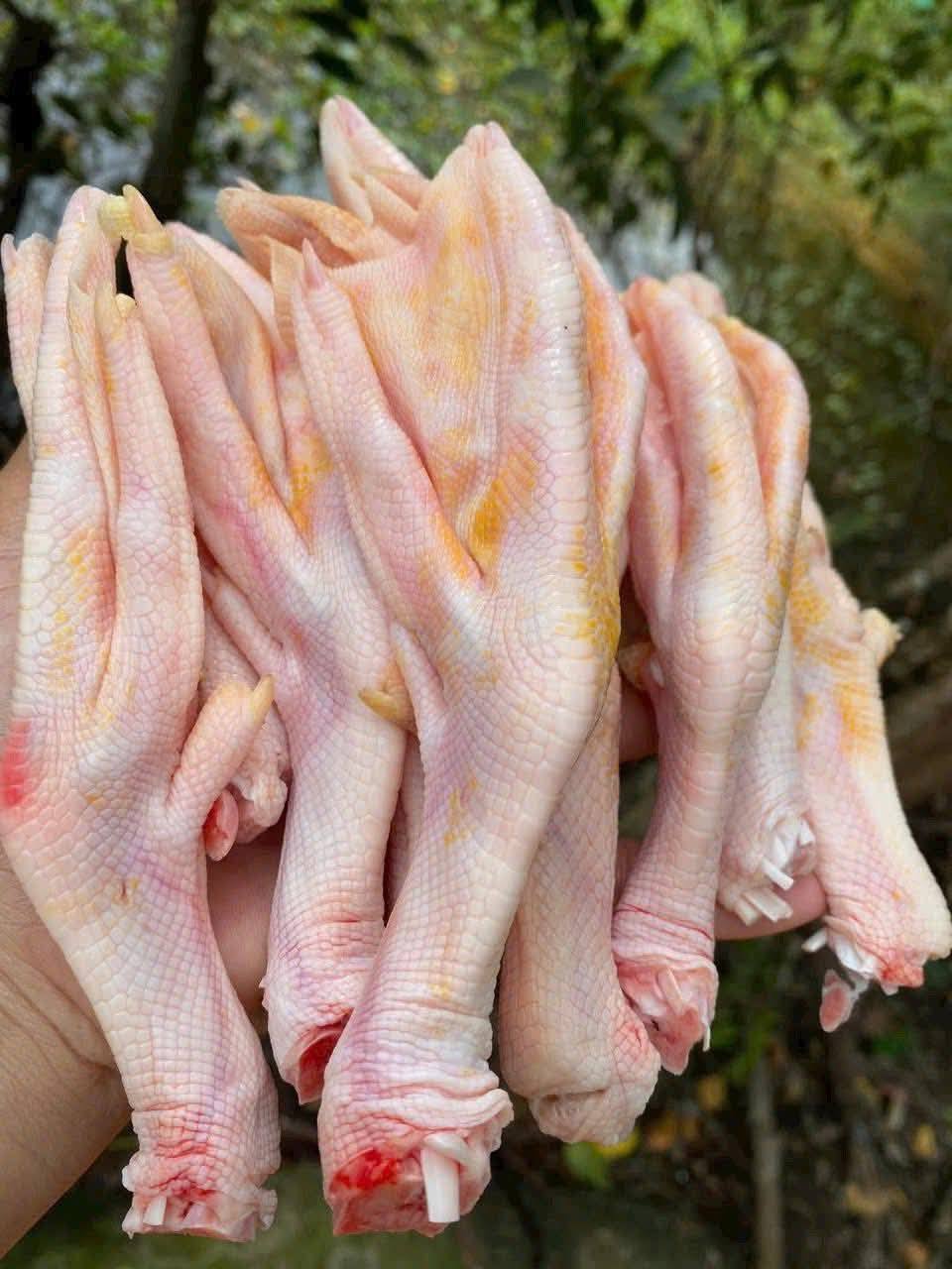 chân vịt tươi