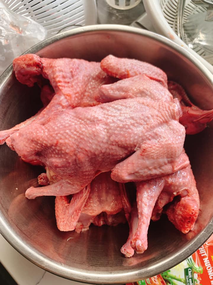 chim bồ câu ta làm sạch