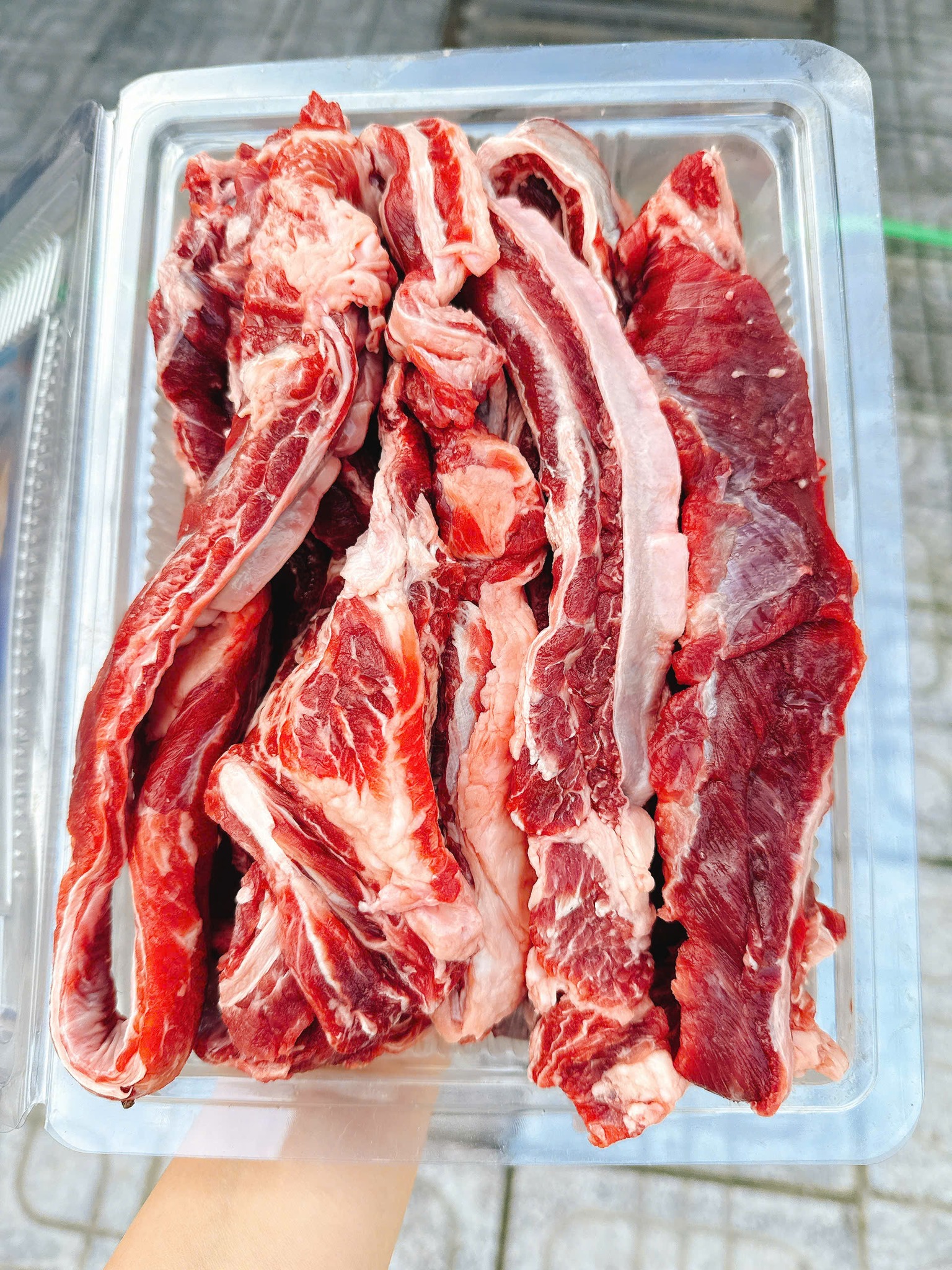 dẻ sườn bò giao sỉ vifood