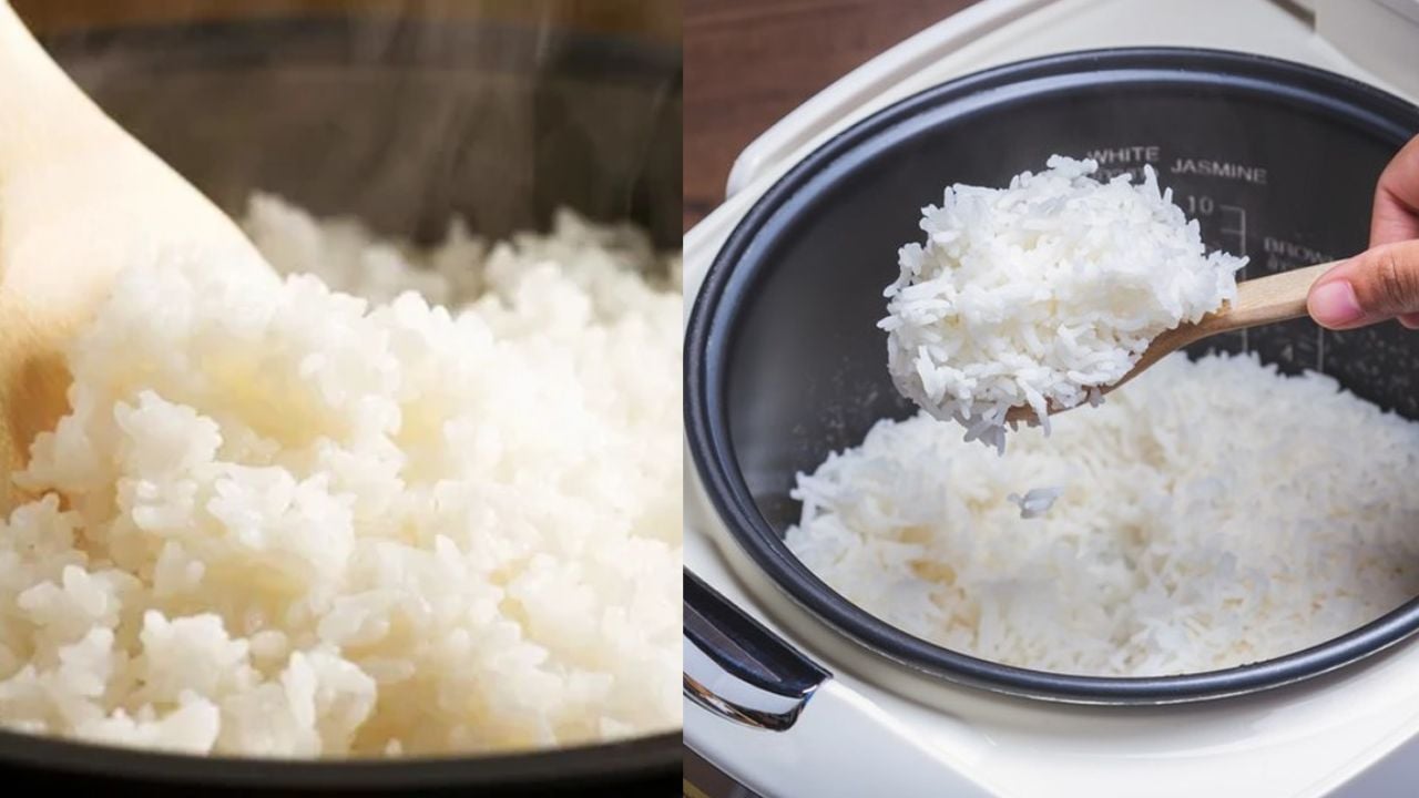 suất ăn dùng gạo 64 dứa