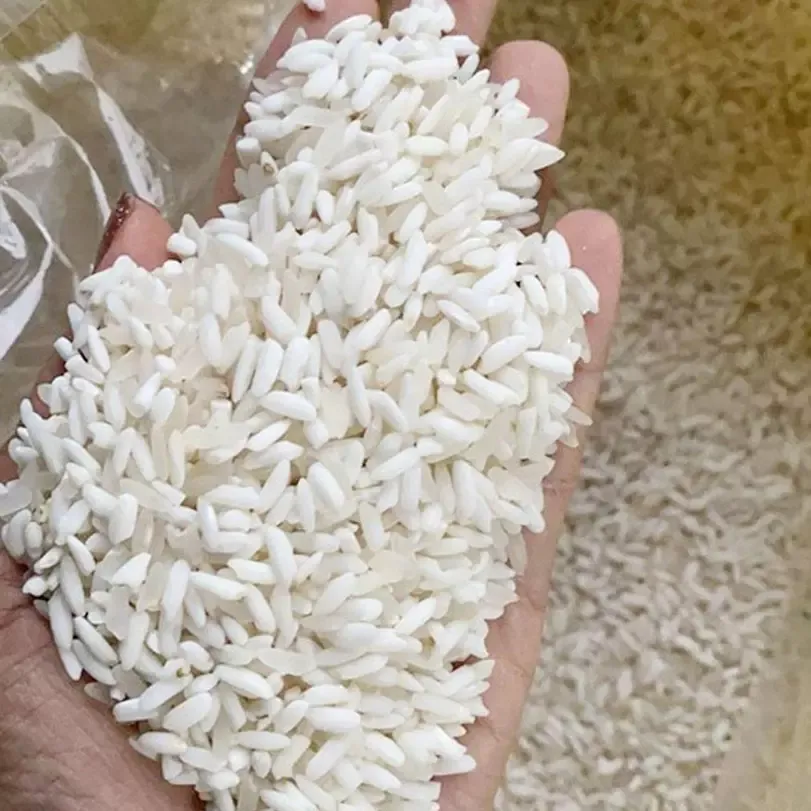 gạo nếp hương điện biên hạt tròn