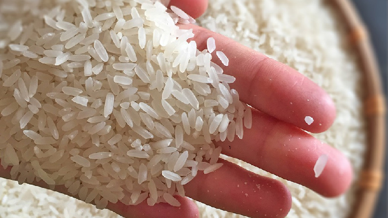 gạo nở 404 giá sỉ