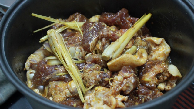 bò kho gầu bò úc