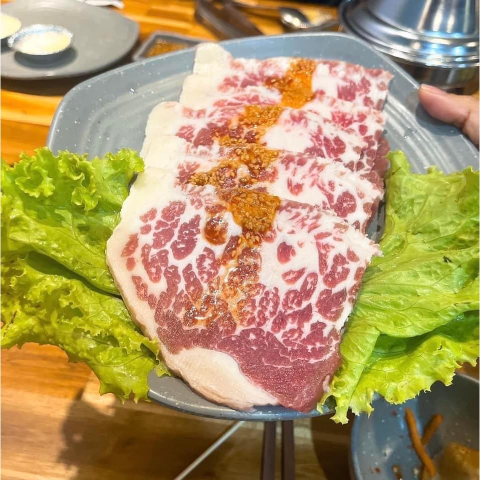 gù bò úc kilcoy giá sỉ