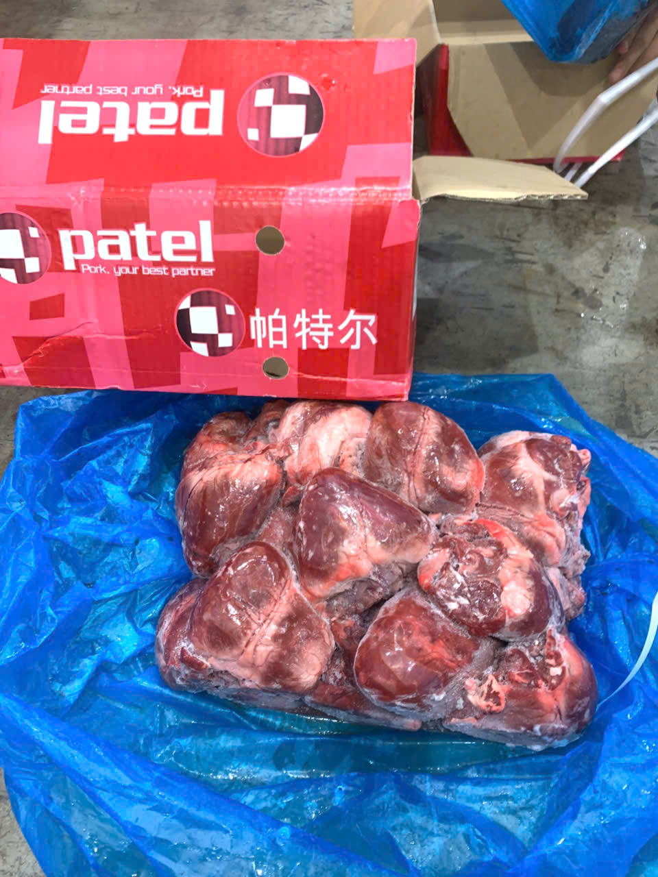 tim heo patel giá sỉ