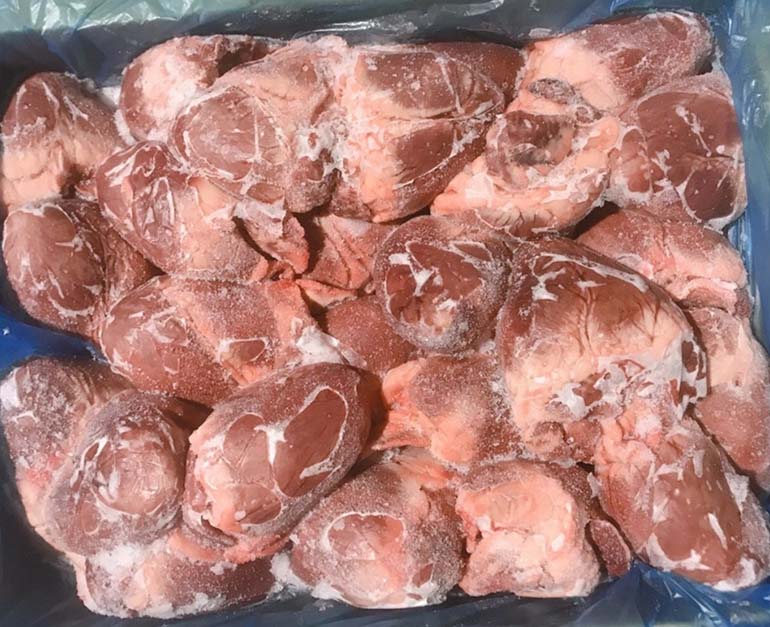 tim heo nhập khẩu spain