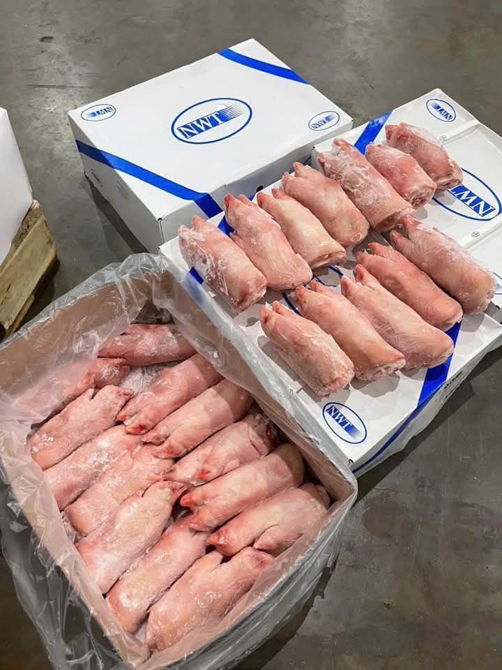 móng heo nwt giá sỉ